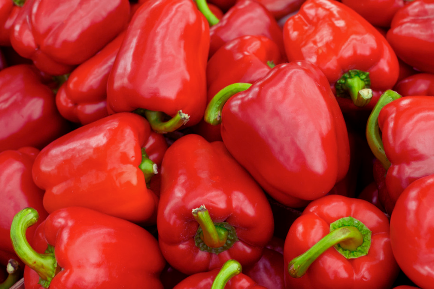 Sweet Red Bell Pepper Seeds - Non-GMO Heirloom Capsicum annuum for Home Garden, Container, and Raised Bed Cultivation