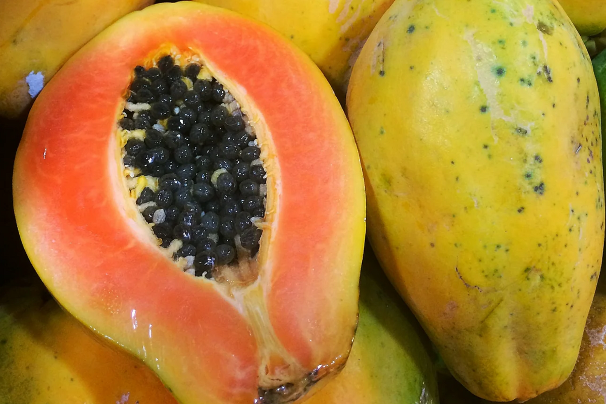 25 Solo Sunset Papaya Seeds - Fast-Growing Tropical Fruit - Sweet Red/Pink Flesh - Carica papaya 'Solo Sunset'