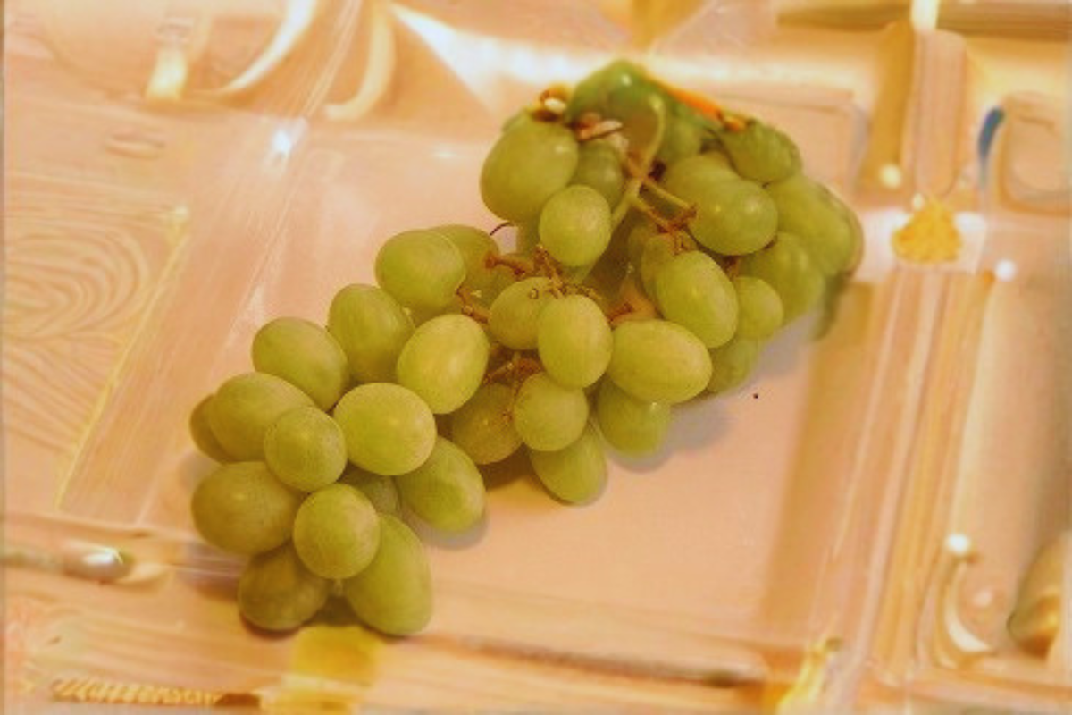 Siebel 9110 Grape Vine Live Plant 1 Gallon, Hybrid Grape Plant for Garden Vineyard, Outdoor Climbing Fruit Vine