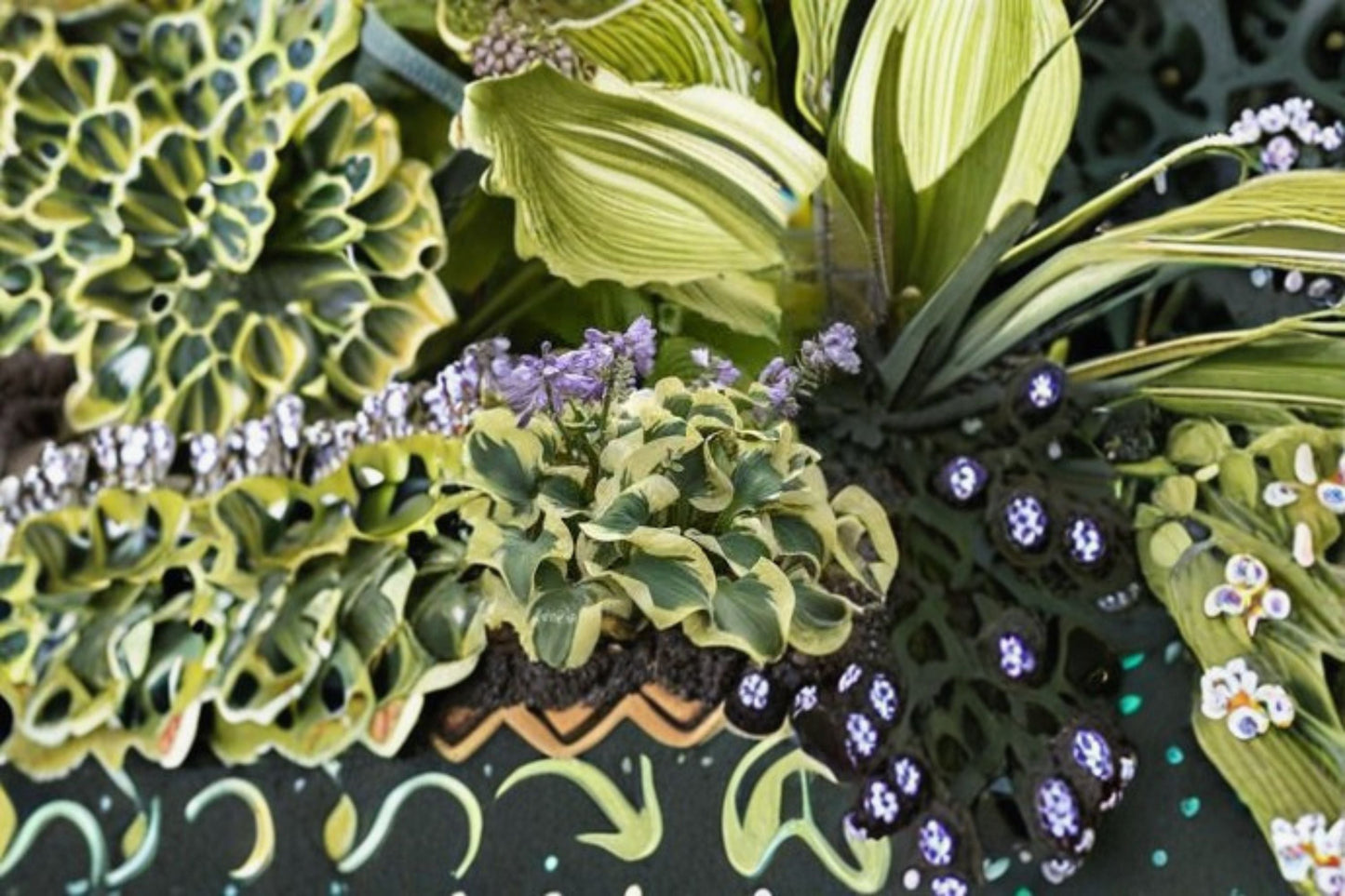 Mini Skirt Hosta Live Starter Plant – Dwarf Ruffled Blue-Green Foliage – Container Garden, Shade Plant, Easy Care Hosta
