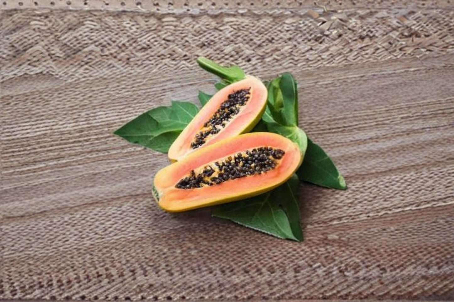 Red Lady Papaya Live Plant – High Yield Tropical Fruit Tree – Carica papaya – Juicy, Sweet, Vibrant Garden Tree