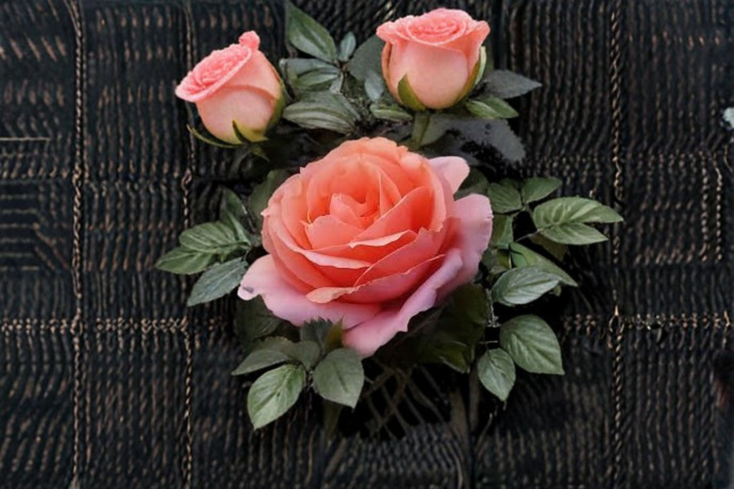 Apricot Candy Rose Live Plant 1.5 Gal Apricot Rose Garden Flower Shrub Rosa