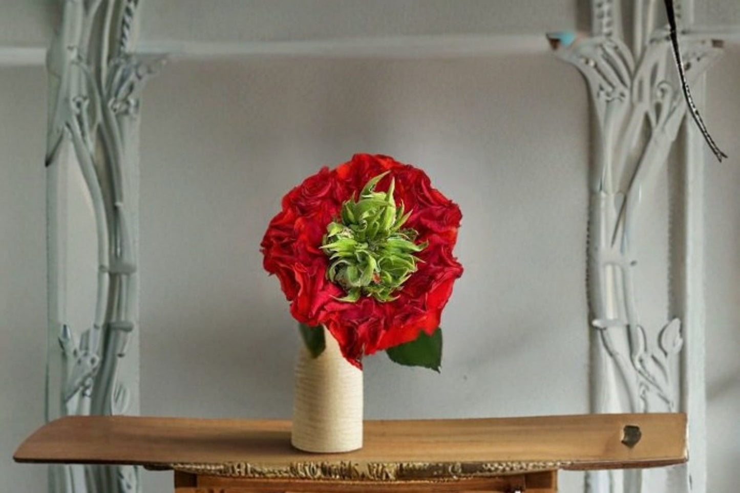 Red Eye Rose Live Plant – Repeat Blooming Shrub with Vibrant Red Flowers – Rosa ‘Red Eye’