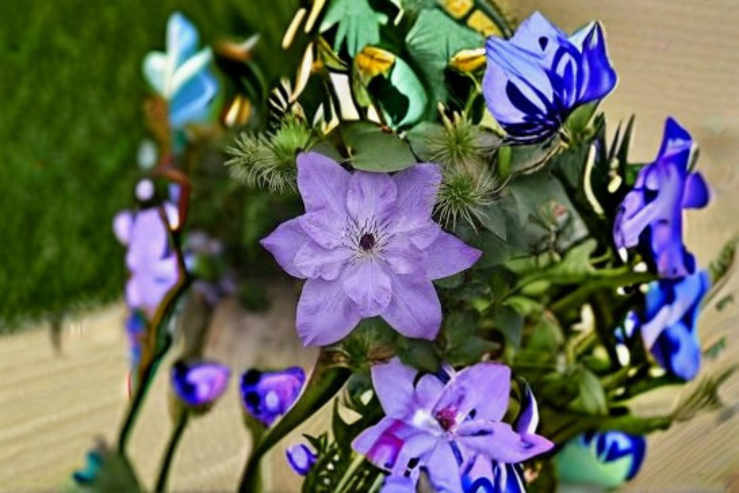 Reflection Clematis Live Plant – Pink Purple Large Flower Vine for Garden, Trellis, Fence, or Arbor, Vibrant Blooms, Vigorous Growth