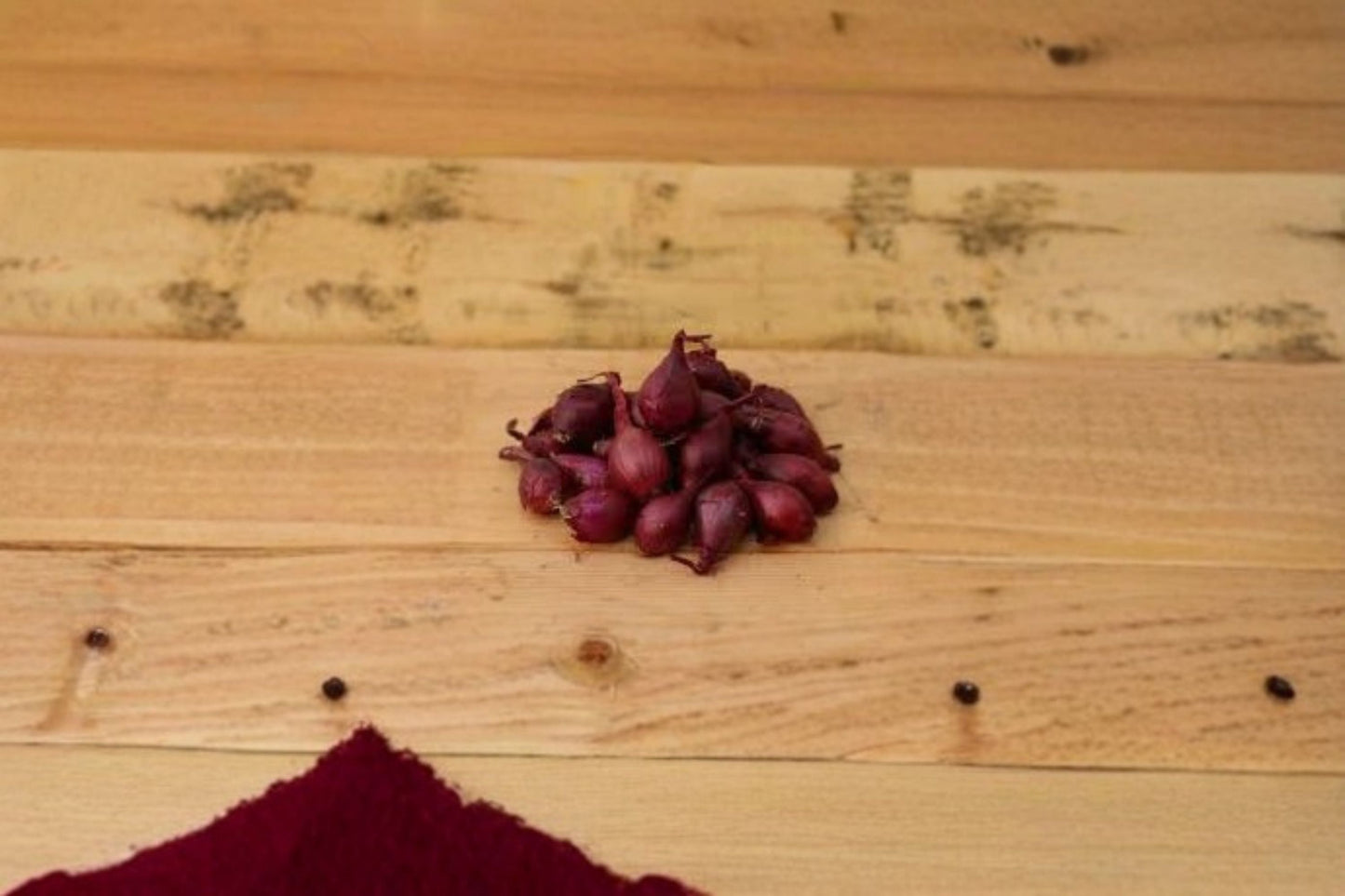 4 Lbs Red Baron Onion Sets – Easy Grow Bulbs for Vibrant Red Onions Allium cepa
