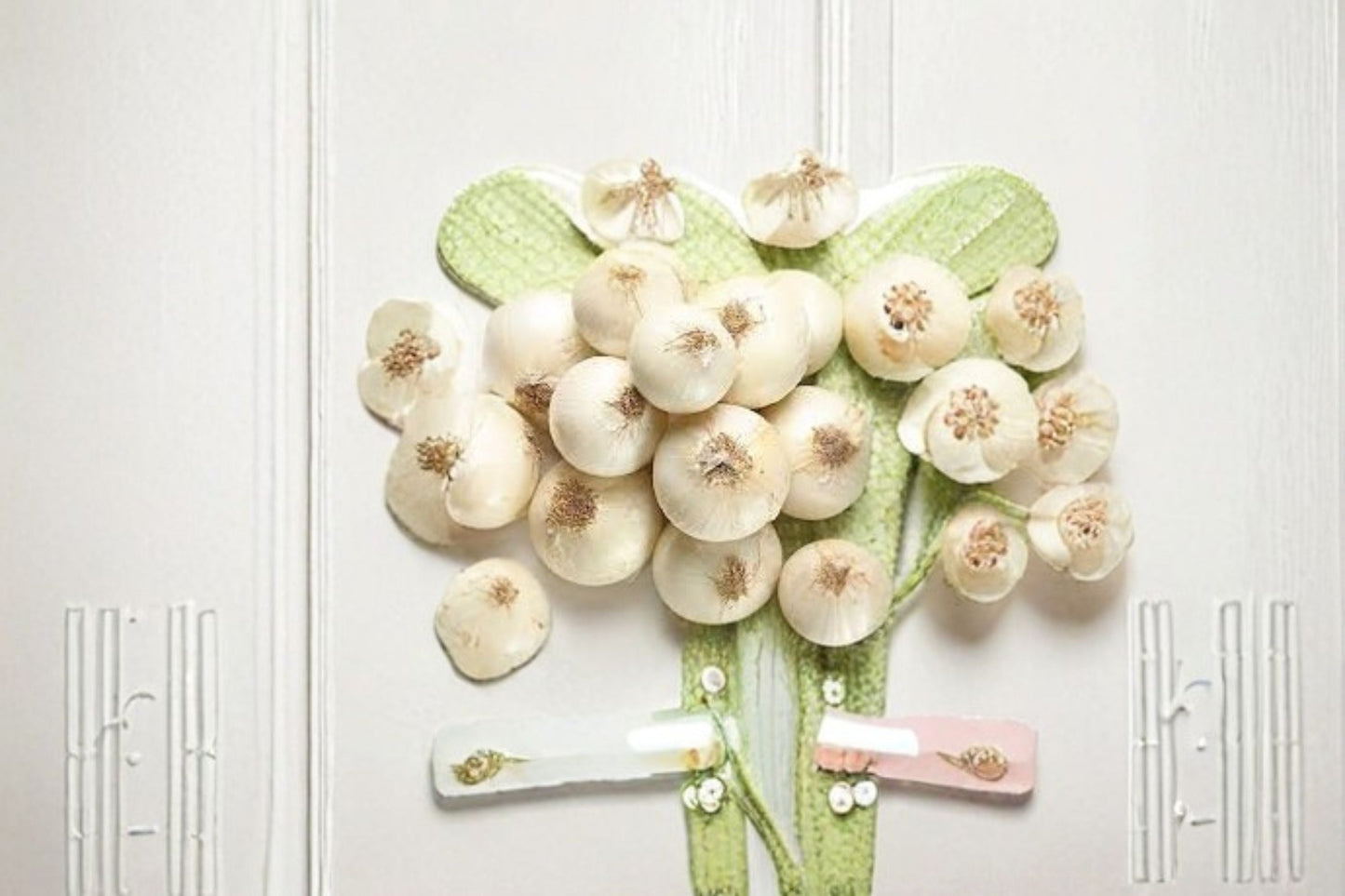 White Ebenezer Onion Bulbs – 4 Lb Non-GMO Allium cepa Sets for Garden Planting