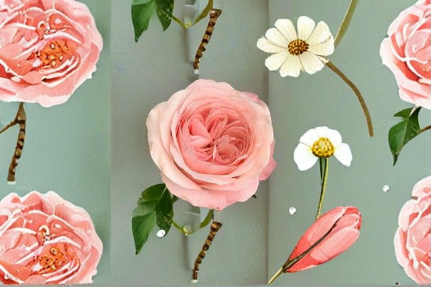 Catherine Rose Rosa Plant – Vibrant Blooming Rosa sp. for Garden and Landscape, Easy Care, Elegant Flowering Shrub
