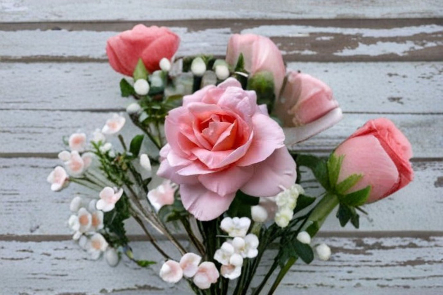 Climbing Rose Live Plant – Fragrant Salmon Pink Dames de Chenonceau Rose – Garden, Trellis, Wall Climber