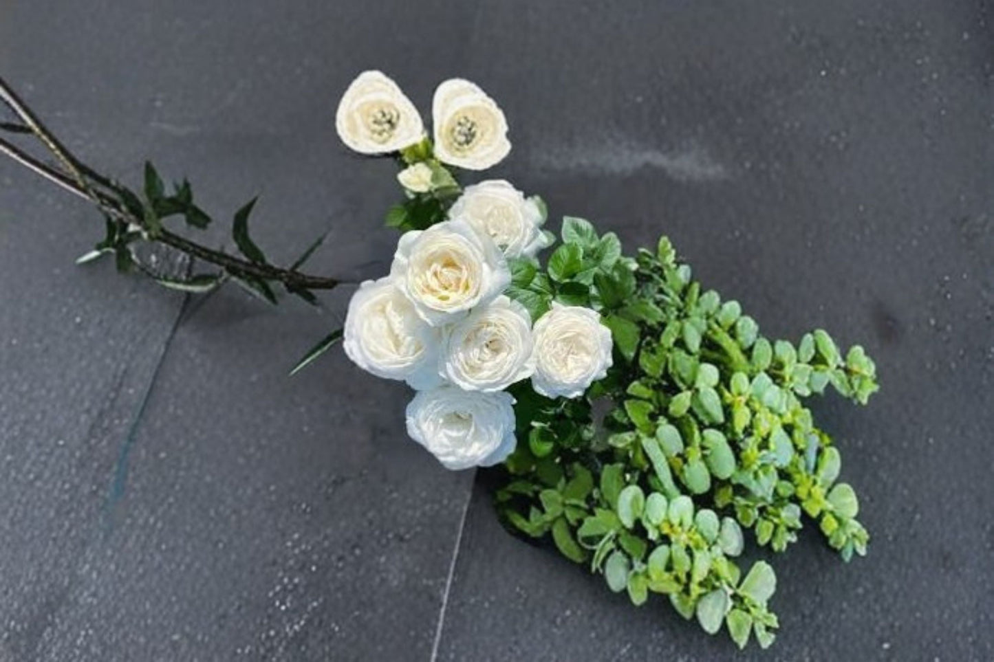 Roads of Wedding Rose Live Plant – Fragrant White Cut Rose – Elegant Garden Flower – Rosa ‘Roads of Wedding’