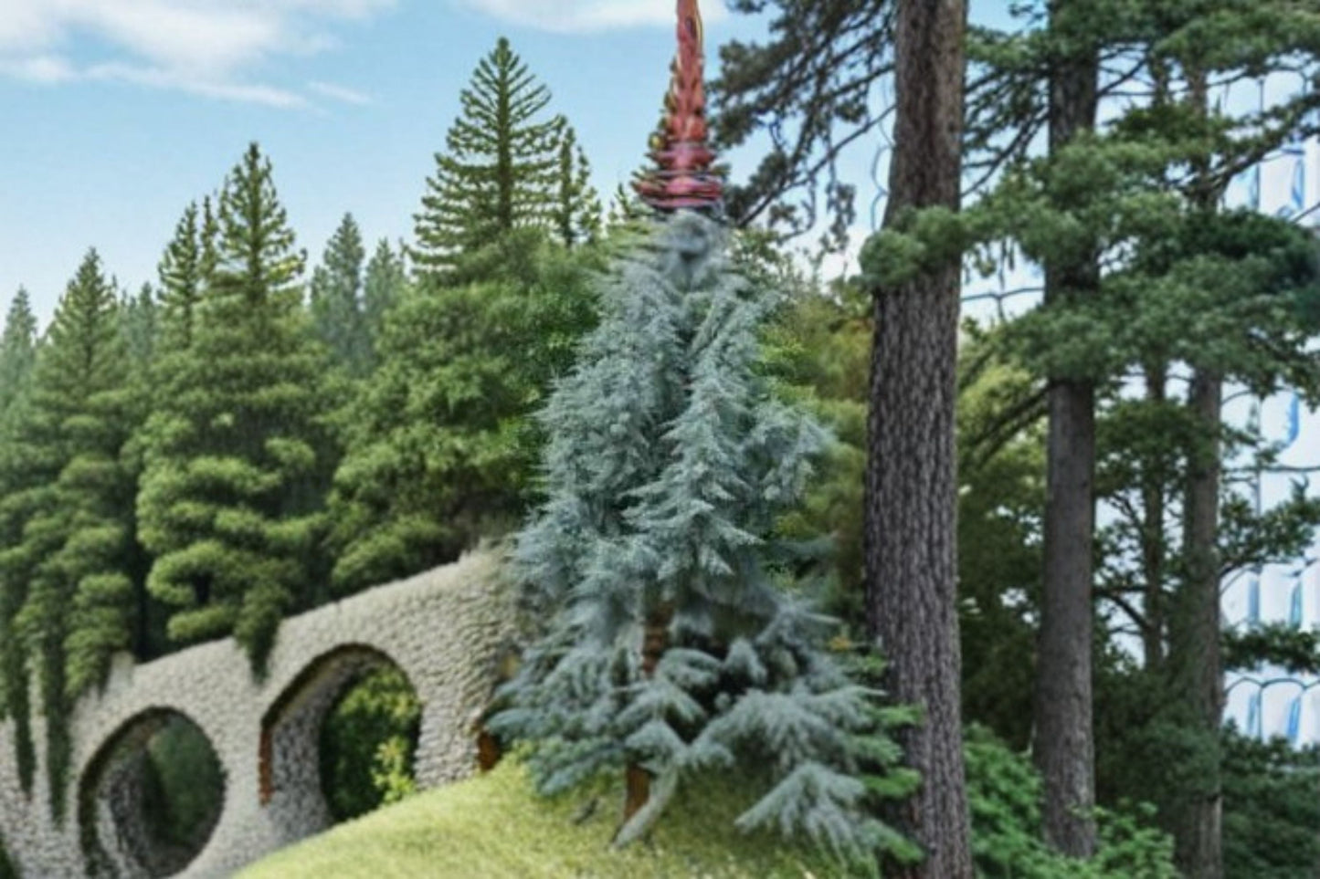 Blue Italian Cypress Plant – Cupressus sempervirens ‘Glauca’ – Evergreen Tree with Silvery-Blue Foliage for Gardens and Landscaping