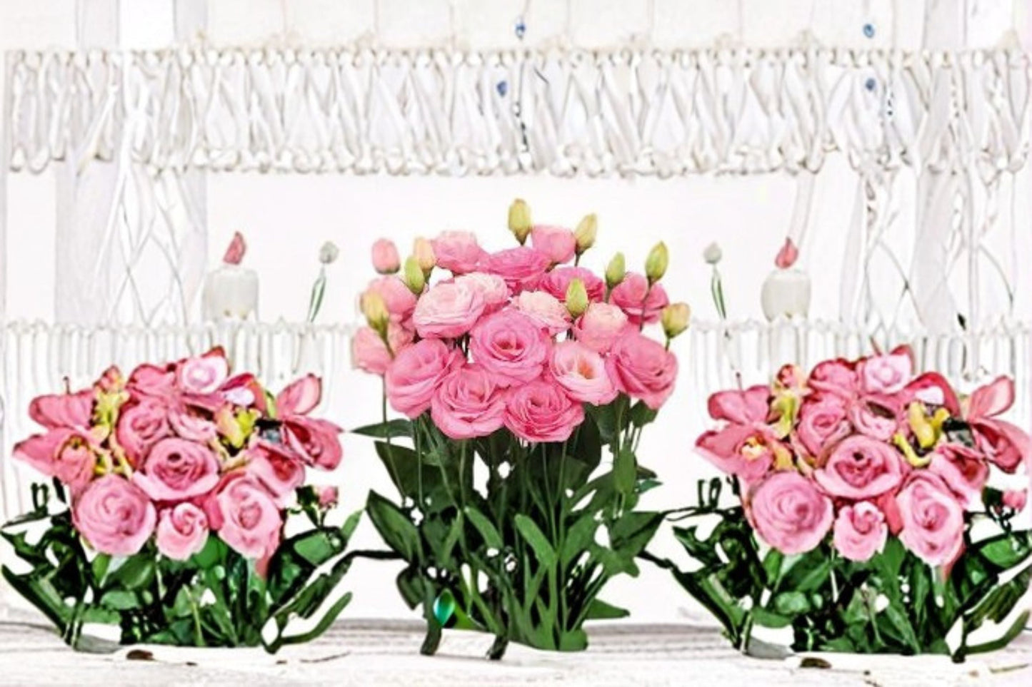 Lisianthus Rosita Plant – Eustoma grandiflorum – Elegant Flowering Perennial for Garden or Container Cultivation