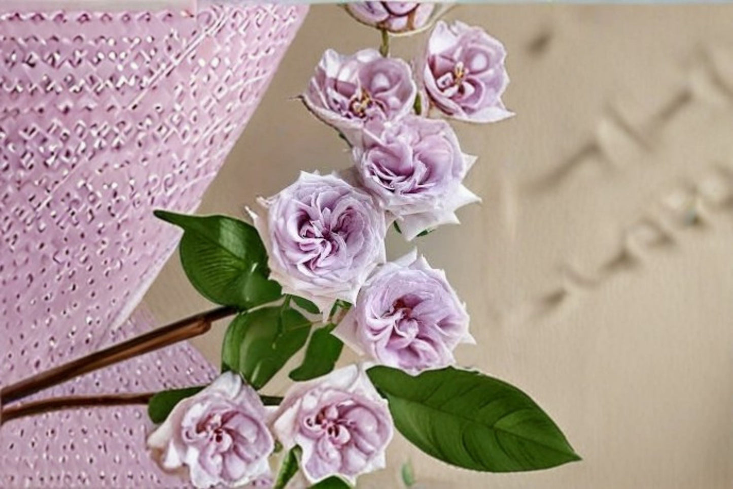 Purple O’Hara Rose Live Plant – 6 Inch Starter, Purple Cut Rose, Own Root, Vibrant Blooms, Garden Rose, Rosa ‘Purple O’Hara’