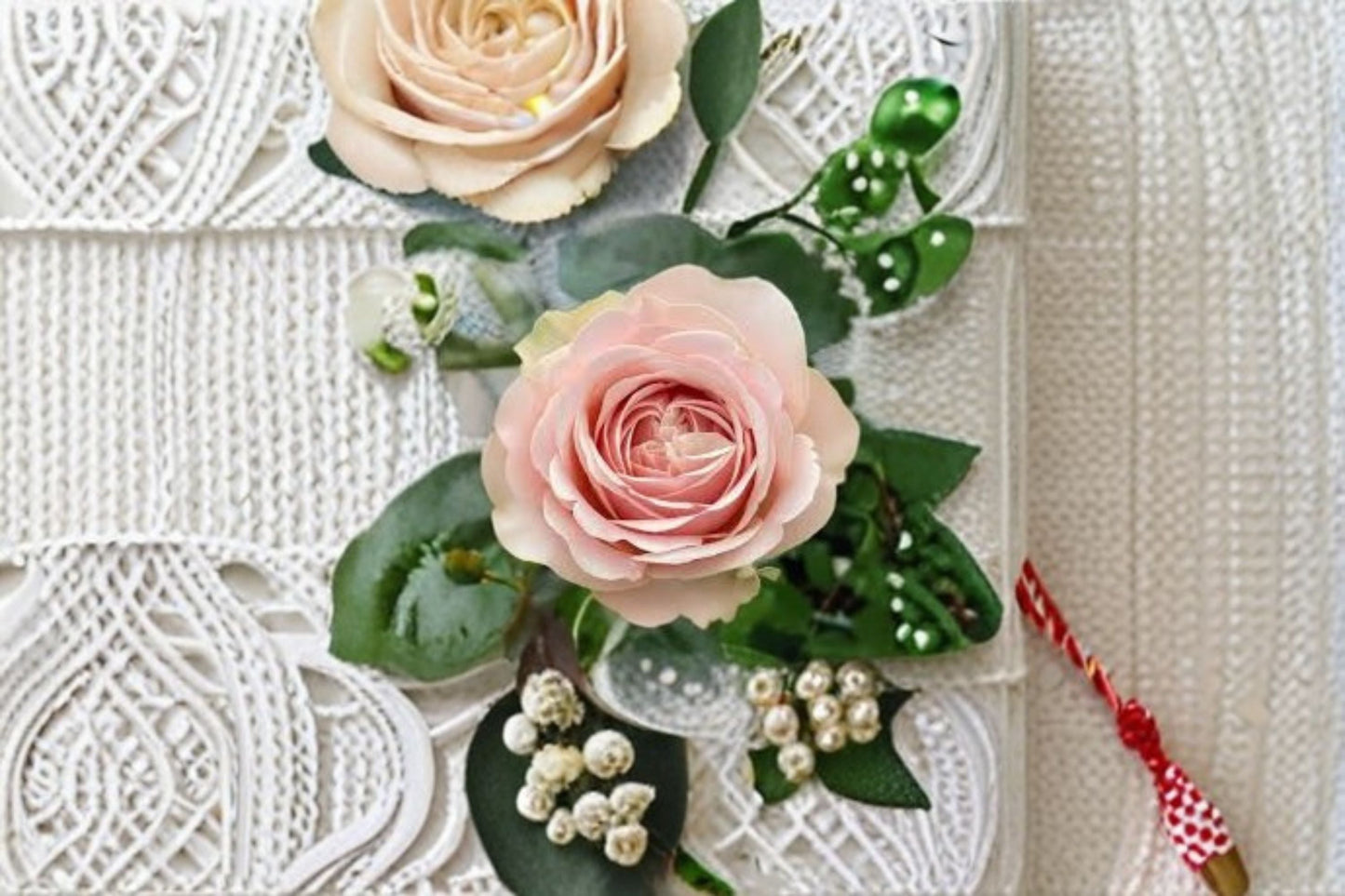 Unforgettable Rose Live Plant – Dutch VIP Cut Rose – Vibrant Blooms, Easy Care, Garden and Indoor Decoration, Rosa hybrid