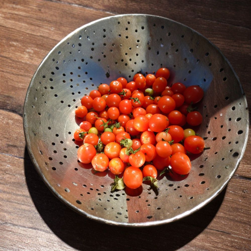 Alaska Proven Cherry Tomato Seeds – Solanum lycopersicum, Cold Climate, Garden & Container Friendly, 20 Seeds