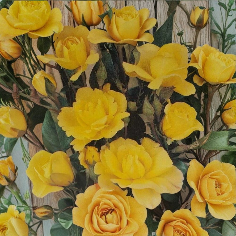 Climbing Golden Shower Rose – Daffodil Yellow Live Bush Plant 1 Gallon with Root Ball, Everblooming Trellis & Arbor Climber