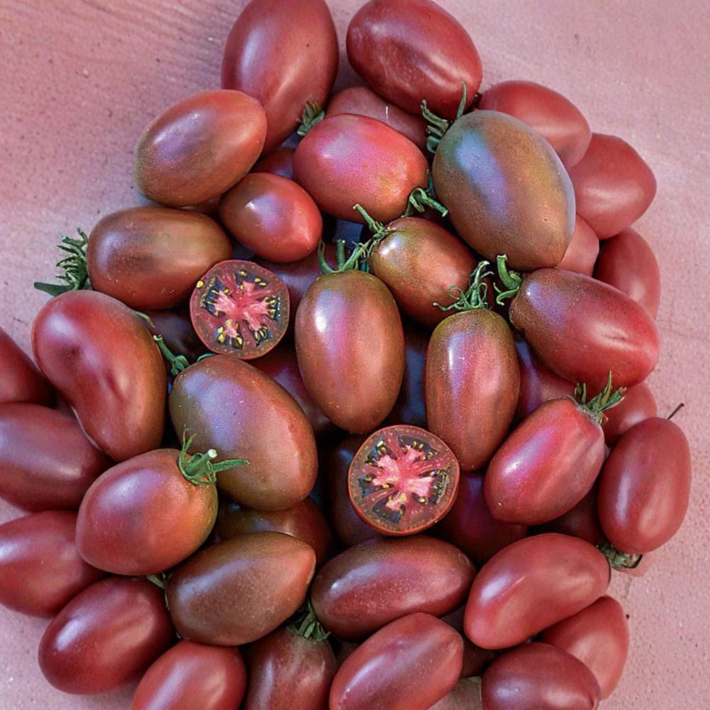 Ukrainian Purple Tomato Seeds – Heirloom Non-GMO Solanum lycopersicum, 50 Organic Paste Tomato Seeds for Garden & Container Growing