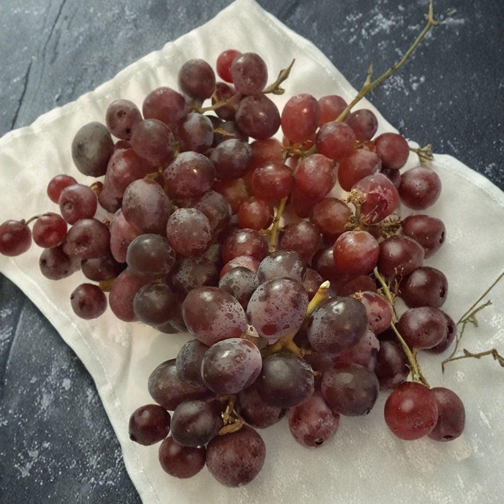 Red Globe Grape Vine – Vitis vinifera Live Plant in 1 Gallon Pot, Fruit Vine for Vineyard & Garden, Easy to Grow