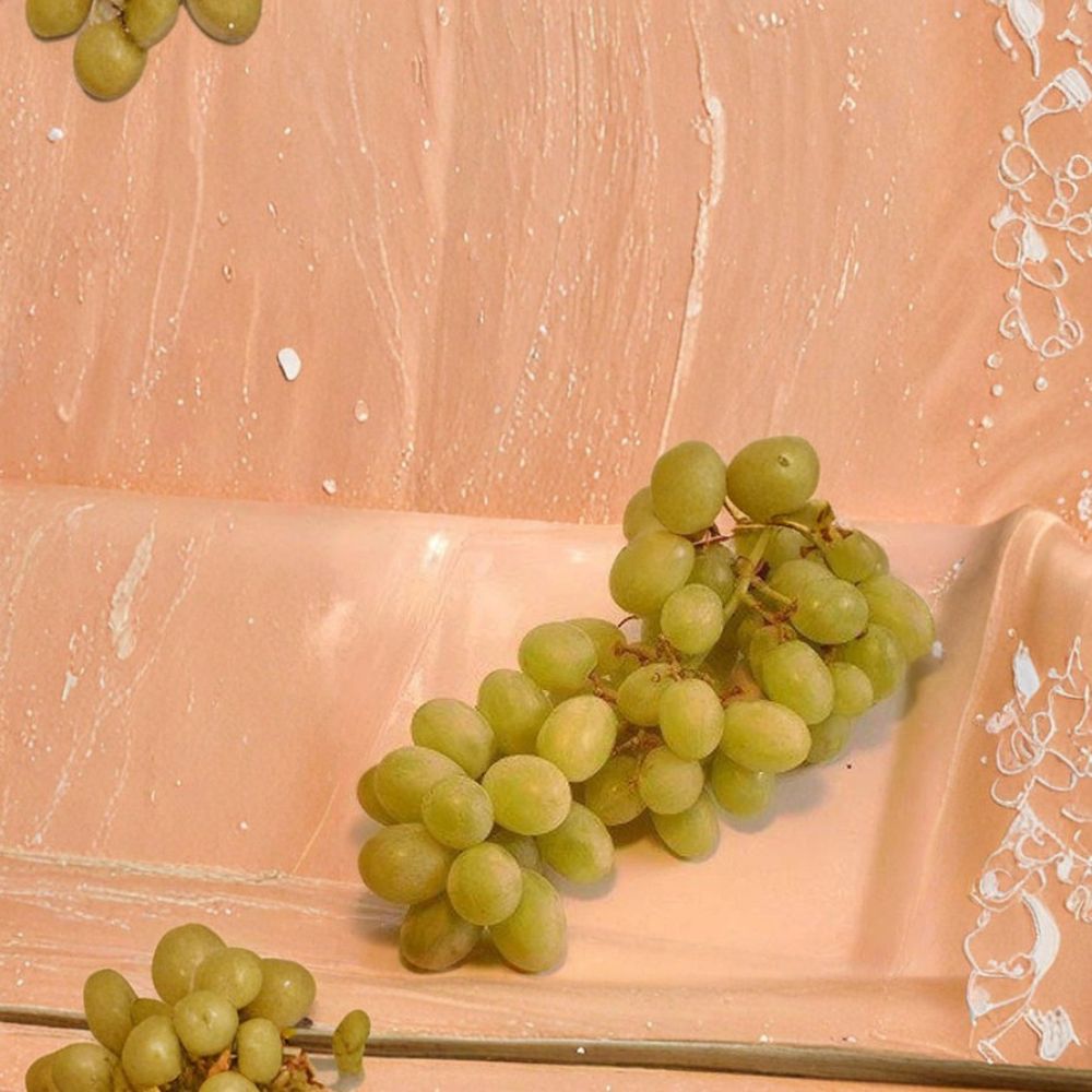Chardonnay White Wine Grape Vine – Vitis vinifera, Self-Fertile, 3 Gallon Live Plant for Home Vineyard & Garden