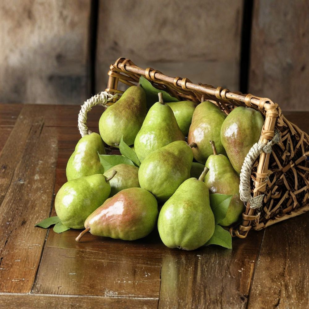Bartlett Pear Tree Bare Root 32–36 Inches Pyrus communis ‘Bartlett’ Fruit Tree for Patio & Backyard