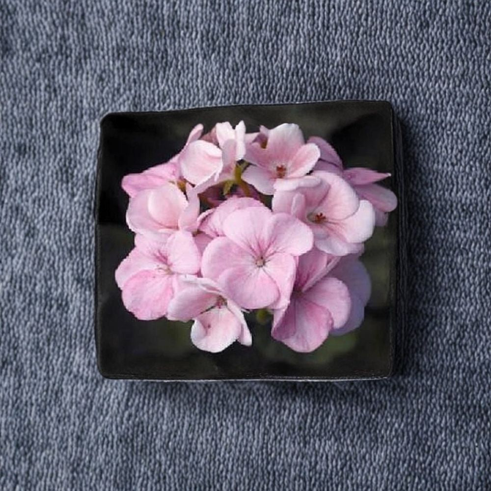 Maverick Appleblossom Geranium Seeds – 10 Pelargonium Flower Seeds for Pots & Gardens, Pink & White Zonal Geraniums