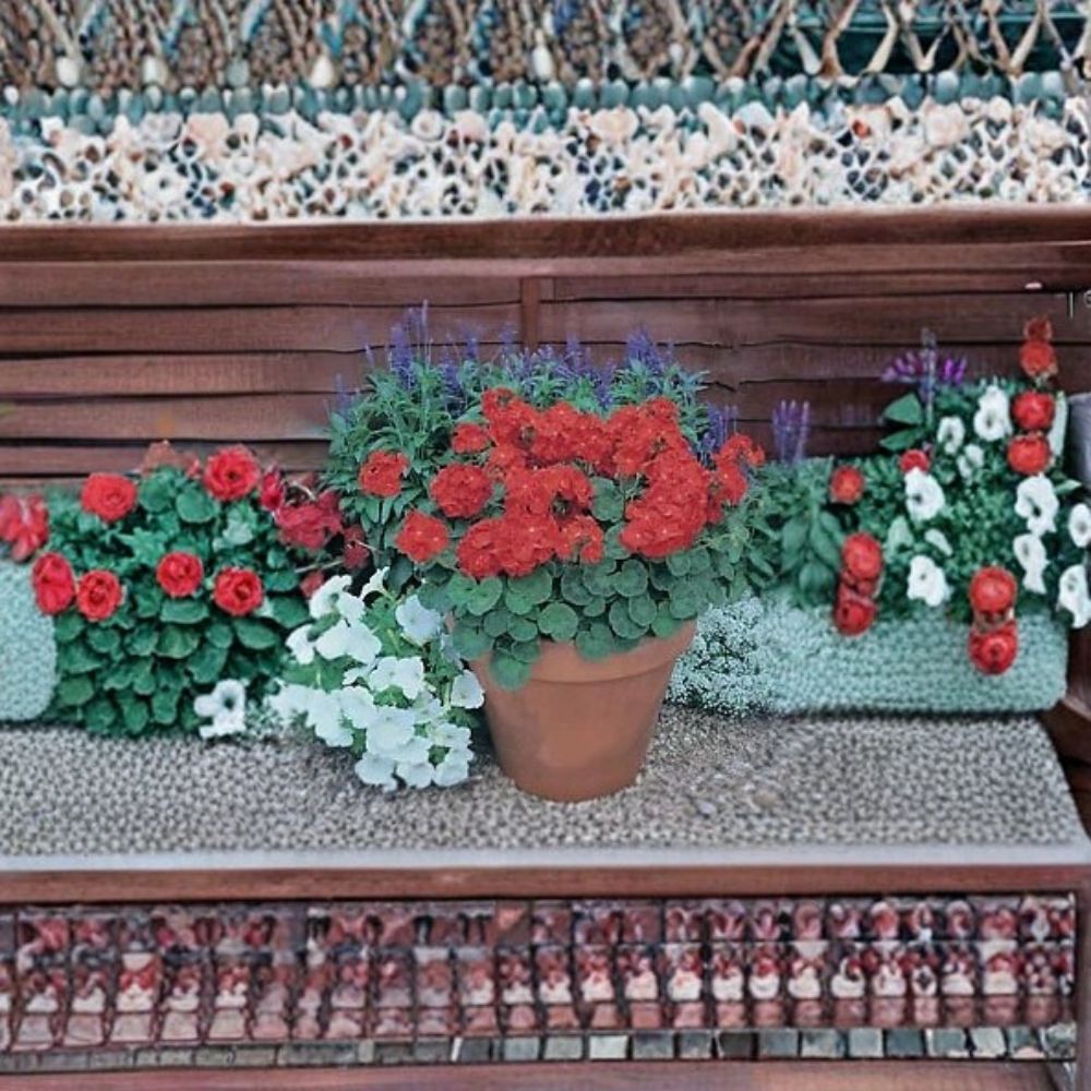 Geranium Landscaper Red Seeds – Pelargonium x hortorum – Scarlet Red Blooms – Compact Garden Favorite for Patio & Landscape