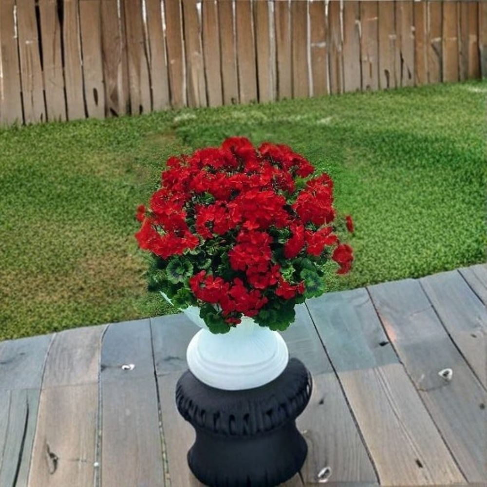 Breakaway Red Geranium Seeds – 100 Pelargonium Scarlet Red Heat-Tolerant Garden Flower Seeds
