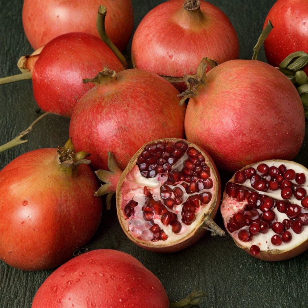 Pomegranate Tree Live Plant – Punica granatum, 3 Ft Potted Fruit Tree with Sweet Red Fruit, Self-Fertile