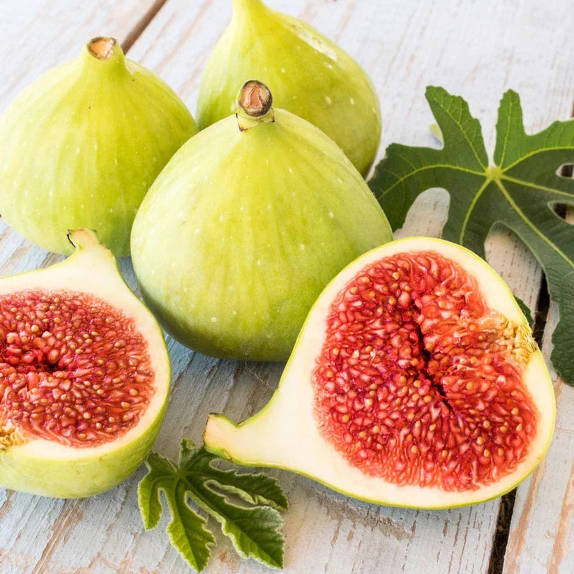 Desert King Fig Cuttings - 6-8" Unrooted Ficus carica Cold Hardy Green Fruit with Red Flesh for Propagation & Gardens