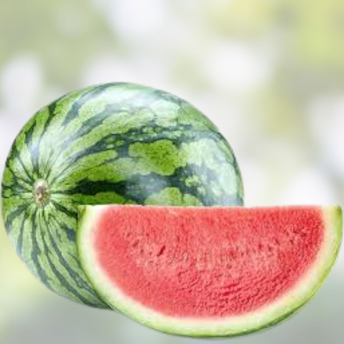 Organic Sugar Baby Watermelon Seeds 50 Pack Non-GMO Heirloom Vegetable Seeds Starter Plant Garden
