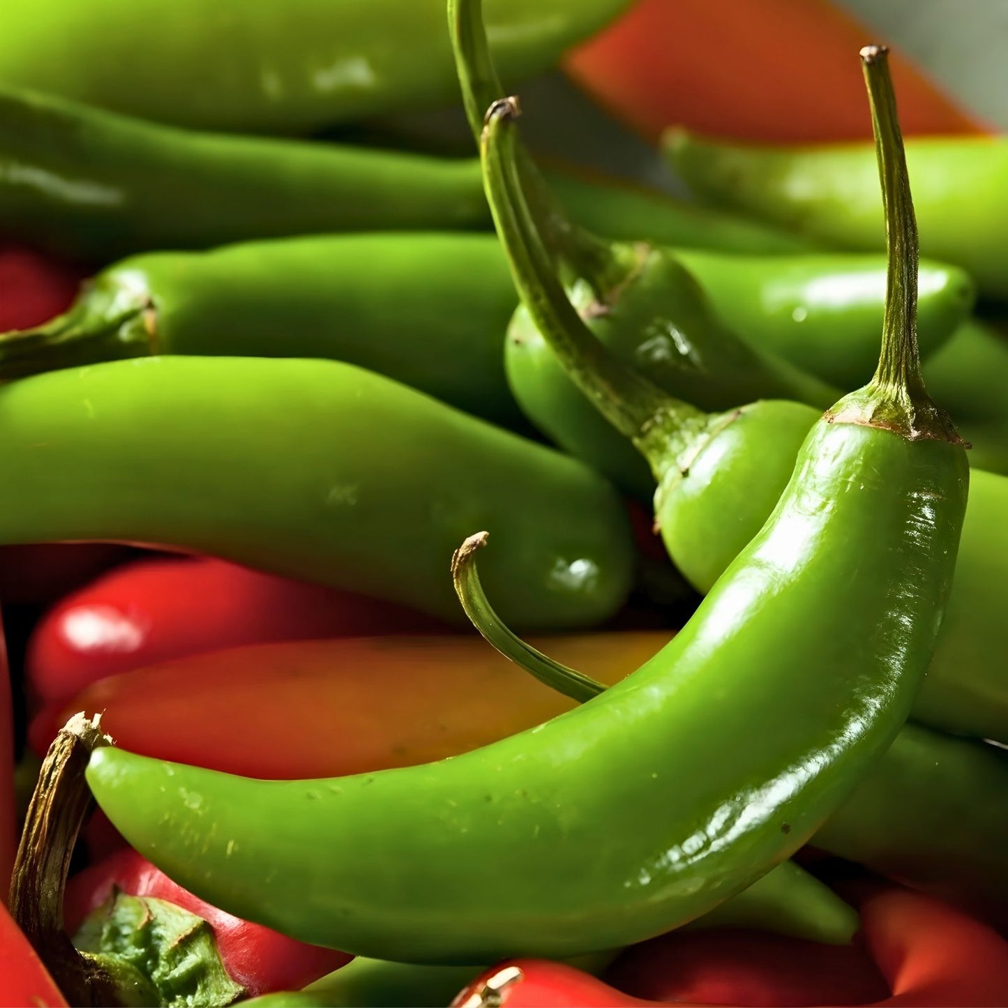 Heirloom Serrano Pepper Seeds – 100 Non-GMO Capsicum annuum Hot Chile Peppers Vegetable Seeds