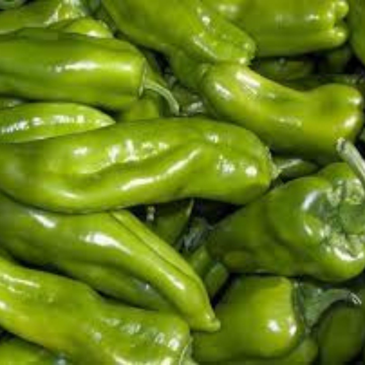Organic Cubanelle Italian Sweet Pepper Seeds 50 Pack Capsicum annuum Heirloom Non-GMO Frying Pepper Plant