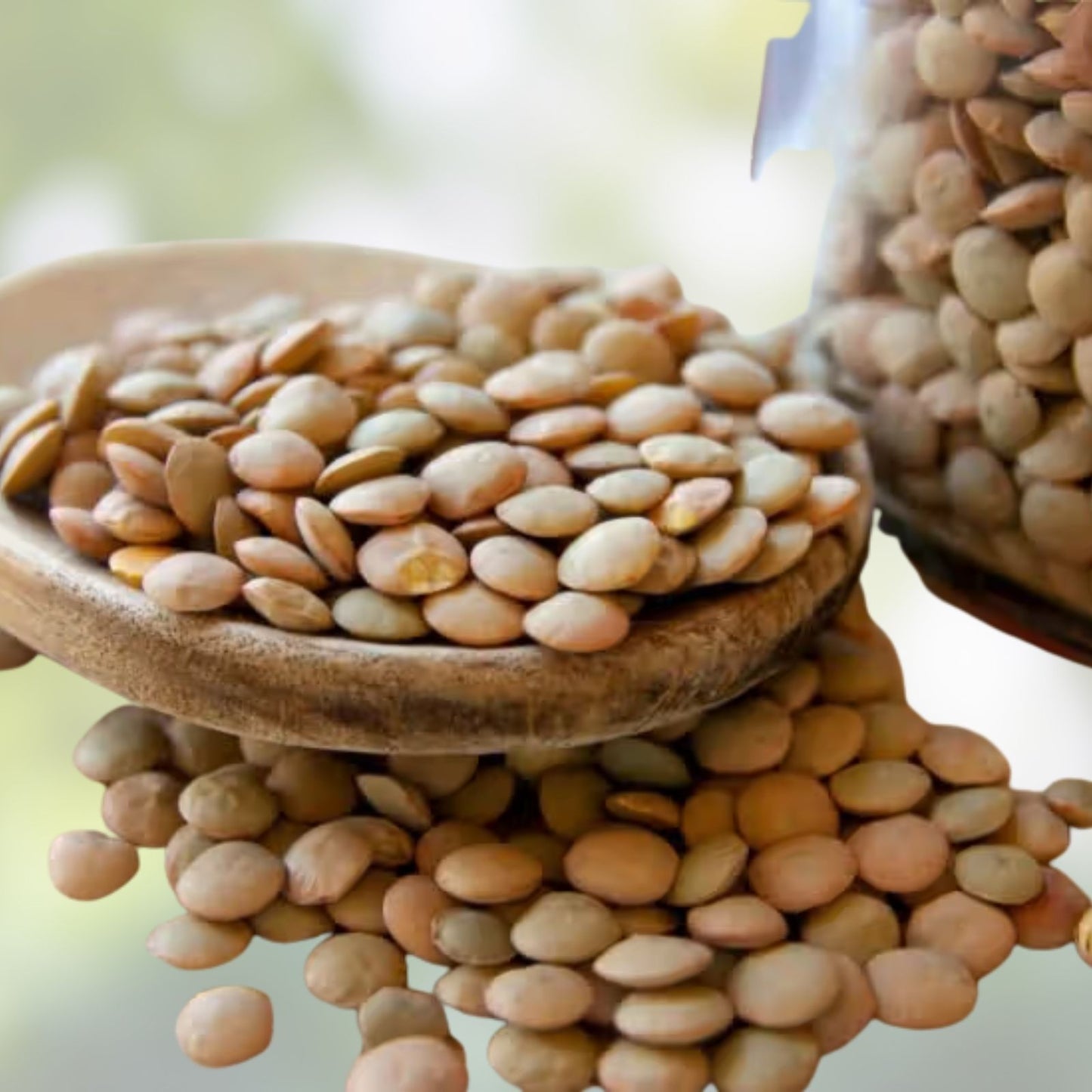 Organic Green Lentils 4 oz – Nutrient-Rich Legumes for Cooking, Sprouting, Vegan, Gluten-Free, Lens culinaris
