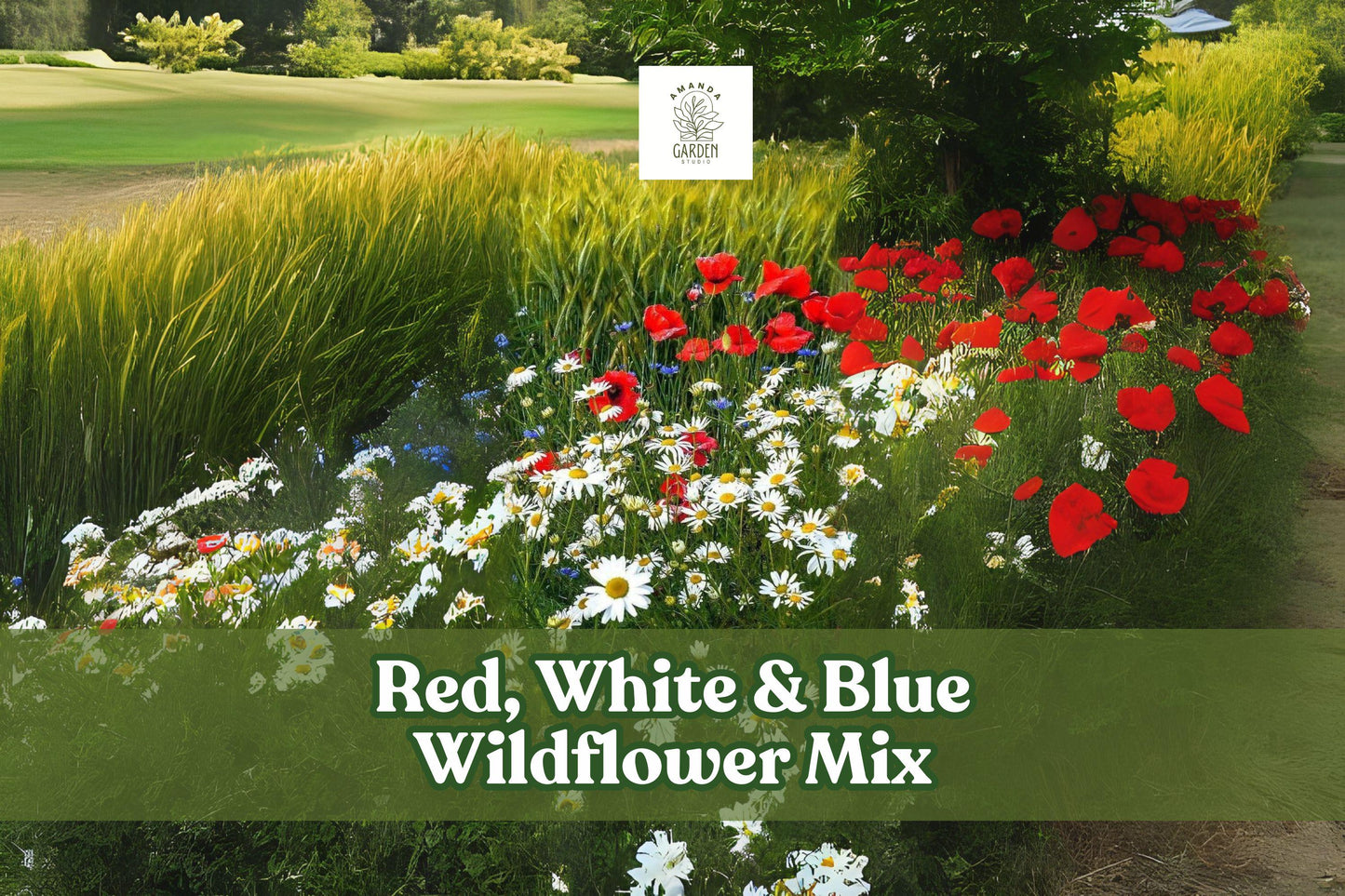 Red, White & Blue Wildflower Seed Mix – Patriotic Garden Blend for Pollinators – 200 Seeds for Borders, Meadows & Naturalized Landscapes