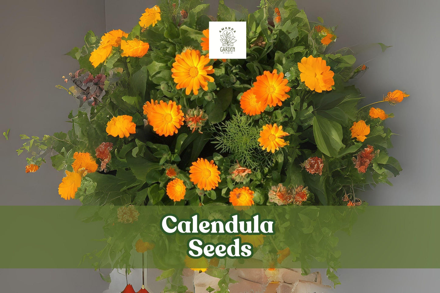250 Calendula Seeds – Pacific Beauty Mix, Ornamental Flower Seeds for Gardens & Containers, Calendula officinalis, Colorful Blooming Annual