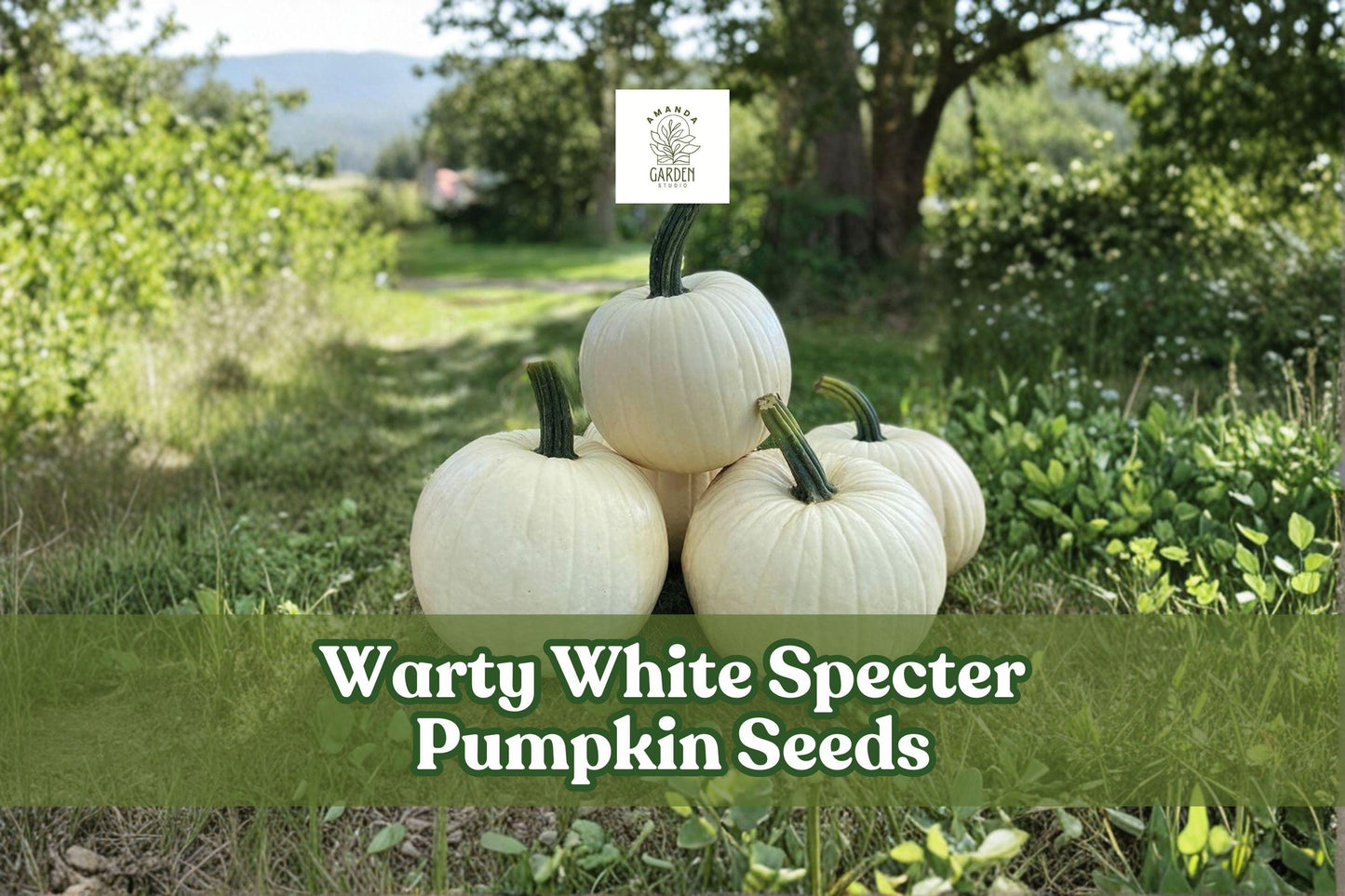 Warty White Specter Pumpkin Seeds - Heirloom Cucurbita maxima for Fall Decor & Carving, 10 Pack