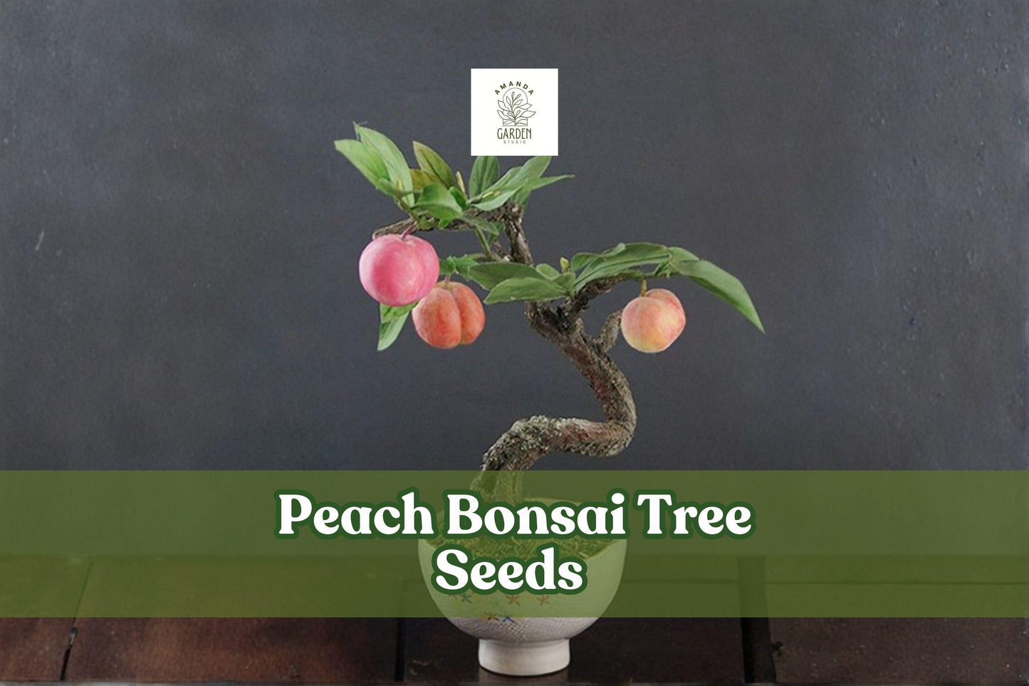 Peach Bonsai Tree Seeds - Prunus persica Fruit-Bearing Miniature Tree for Indoor & Outdoor Gardening, 4 Large Seeds