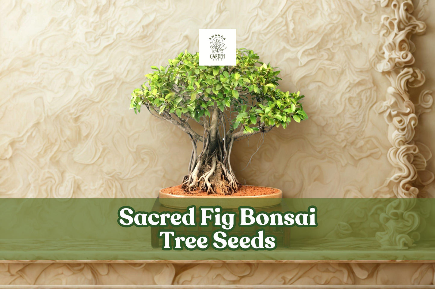 Sacred Fig Bonsai Tree Seeds (Ficus religiosa) – 25+ Fresh Ornamental Seeds for Bonsai & Garden Growth