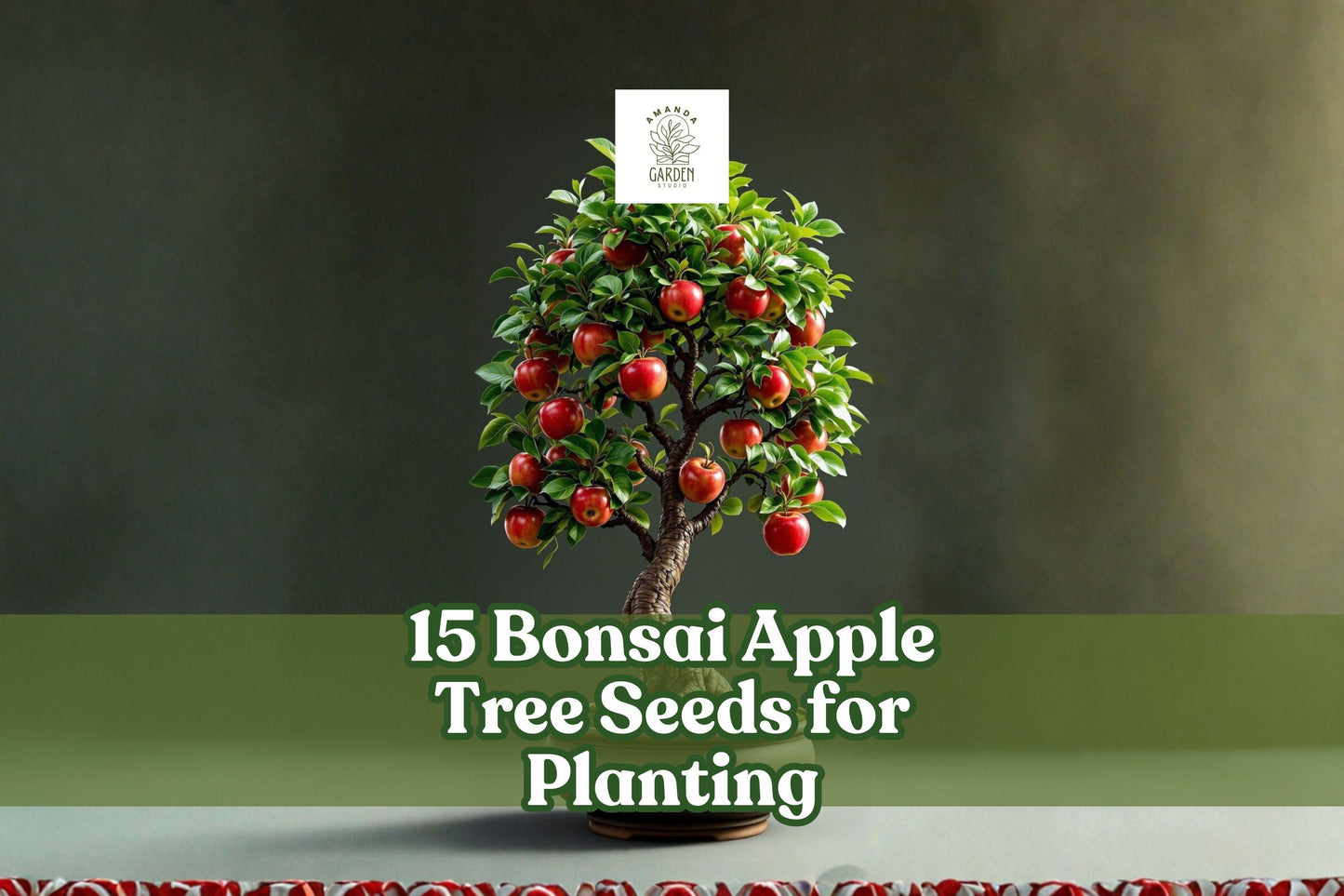 15 Bonsai Apple Tree Seeds Malus domestica Mini Fruit Container Indoor Growing