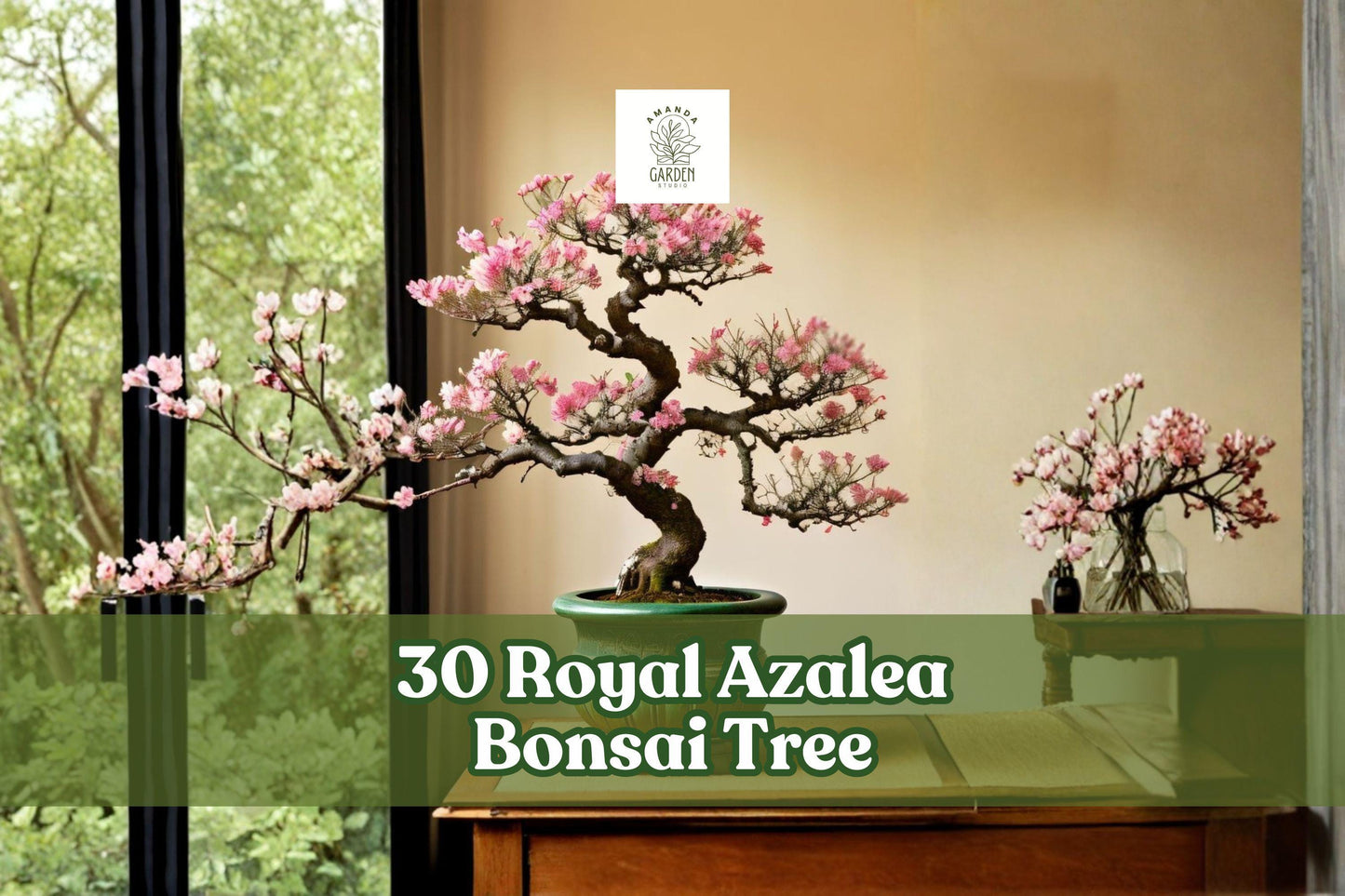 Royal Azalea Bonsai Seeds – Rhododendron schlippenbachii Pink Flower, Deciduous Shrub, Easy to Grow, 30 Seeds