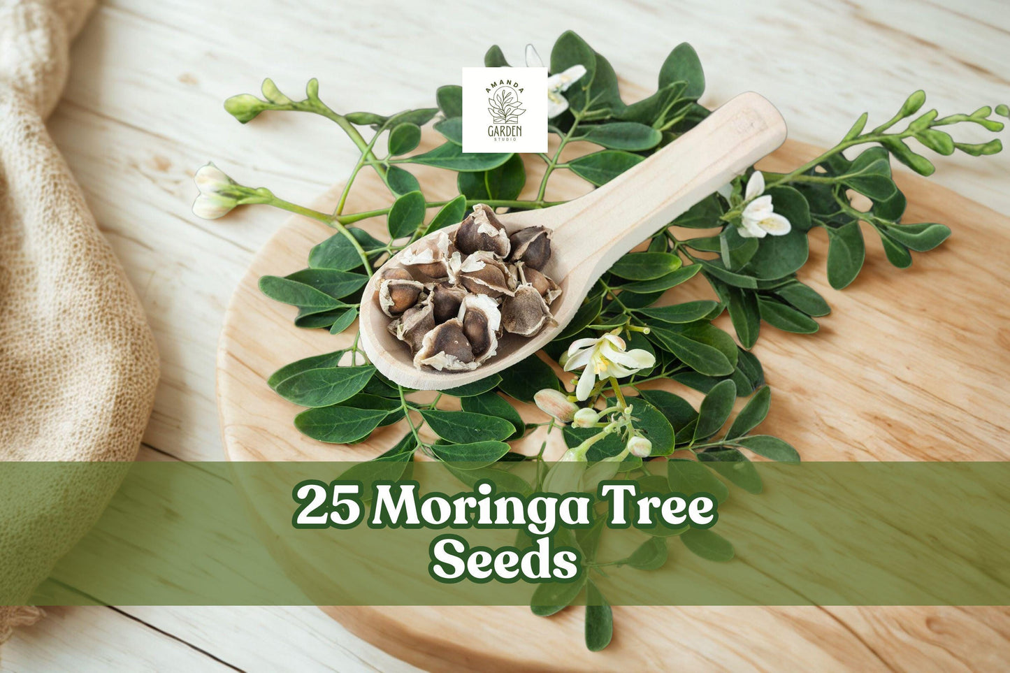 25 Moringa oleifera Tree Seeds for Planting | Fast-Growing Tropical Garden Tree Seeds