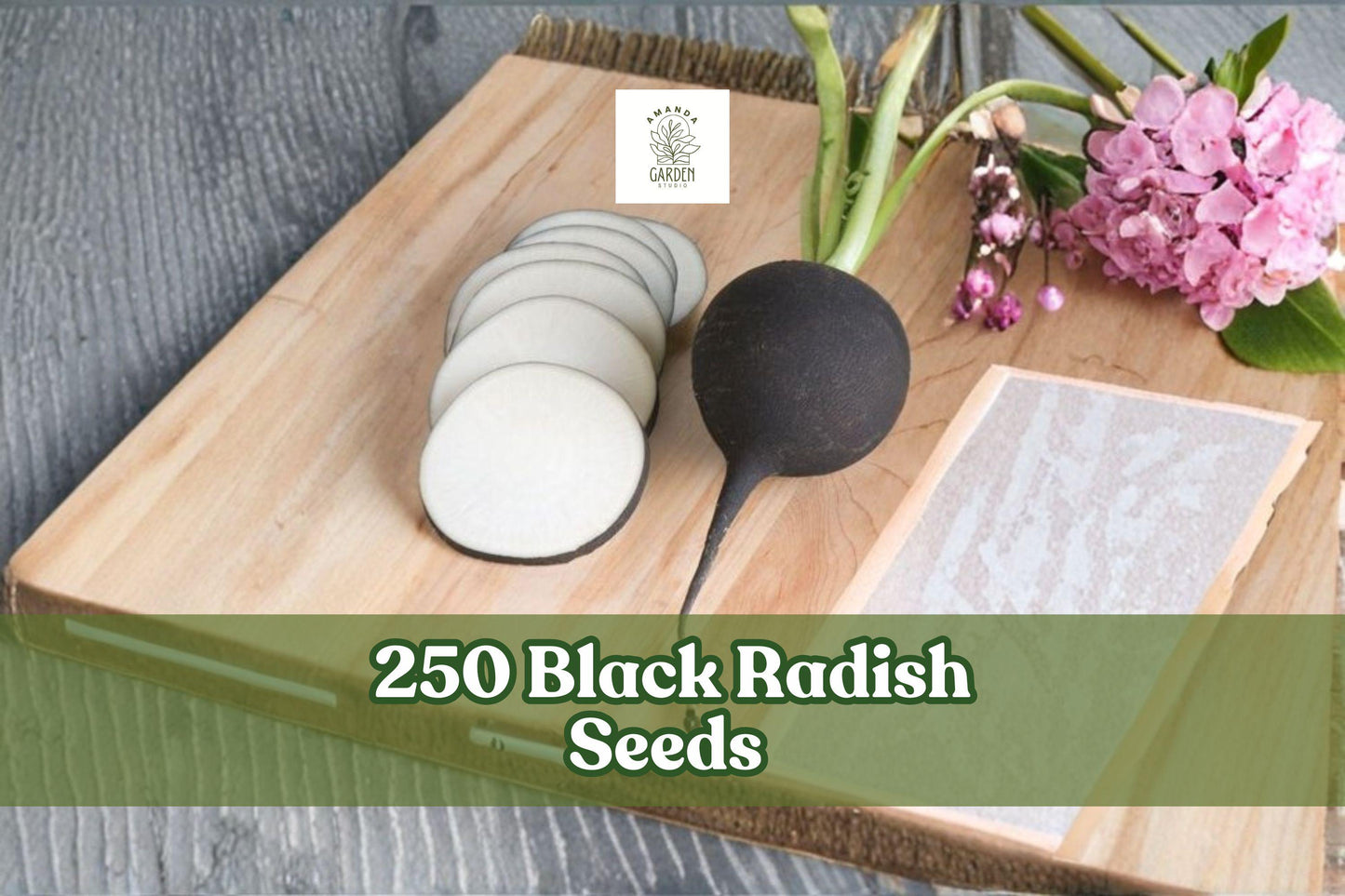 Black Radish Seeds 250 Pack | Raphanus sativus | Heirloom Garden Vegetable for Spring & Fall Planting