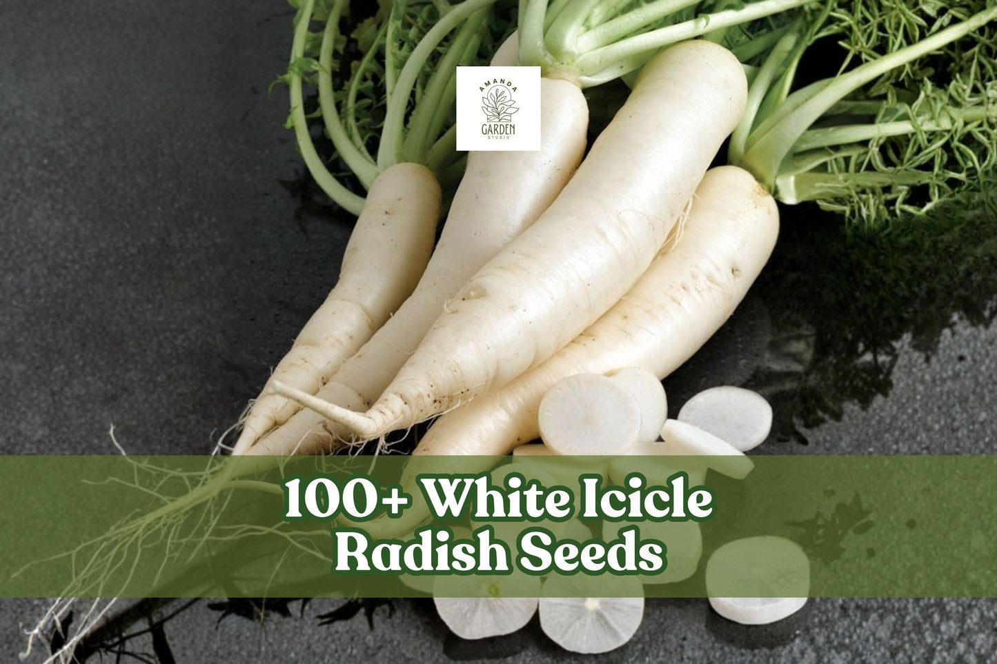 White Icicle Radish Seeds – Non-GMO Heirloom Raphanus sativus, Long, Slender White Radish for Home Garden, Containers, Raised Beds