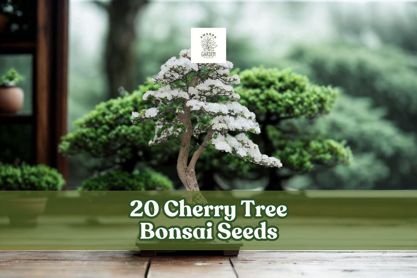 Cherry Tree Bonsai Seeds - Ornamental Prunus spp. for Bonsai, Container Growing & Garden Planting