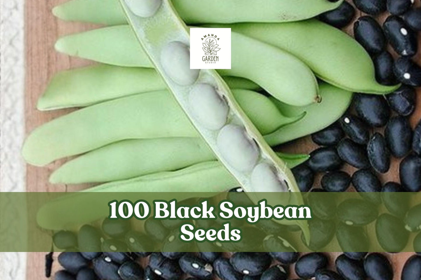 100 Black Soybean Seeds – Glycine max for Sprouting & Garden Planting, Non-GMO, Full Sun, Well-Draining Soil