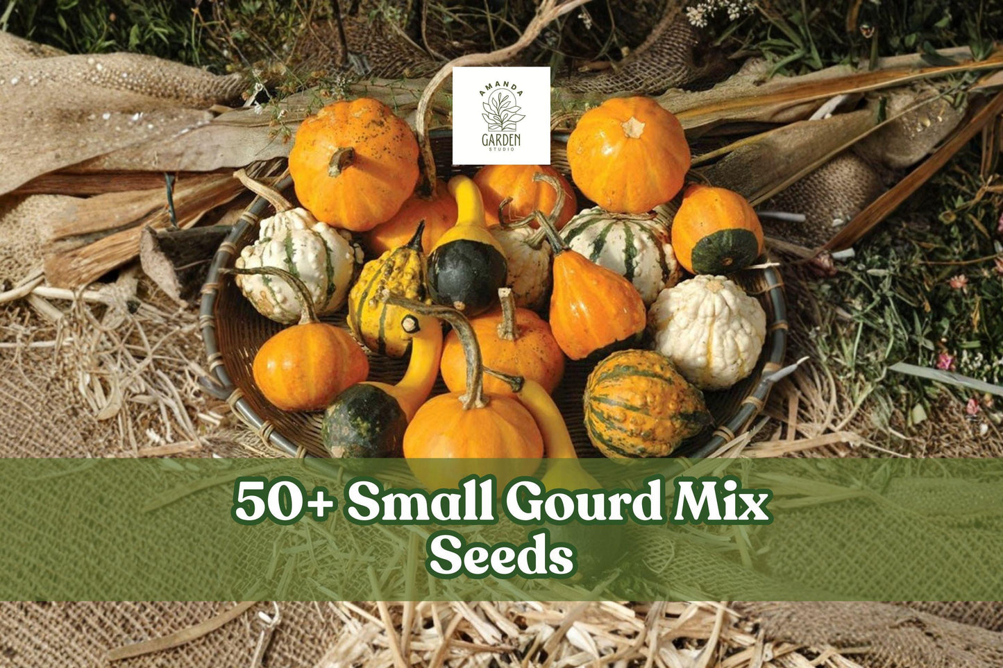 Small Gourd Seeds – Mix of Mini Ornamental Gourds for Fall Decor & Crafts – Cucurbita pepo & Lagenaria siceraria