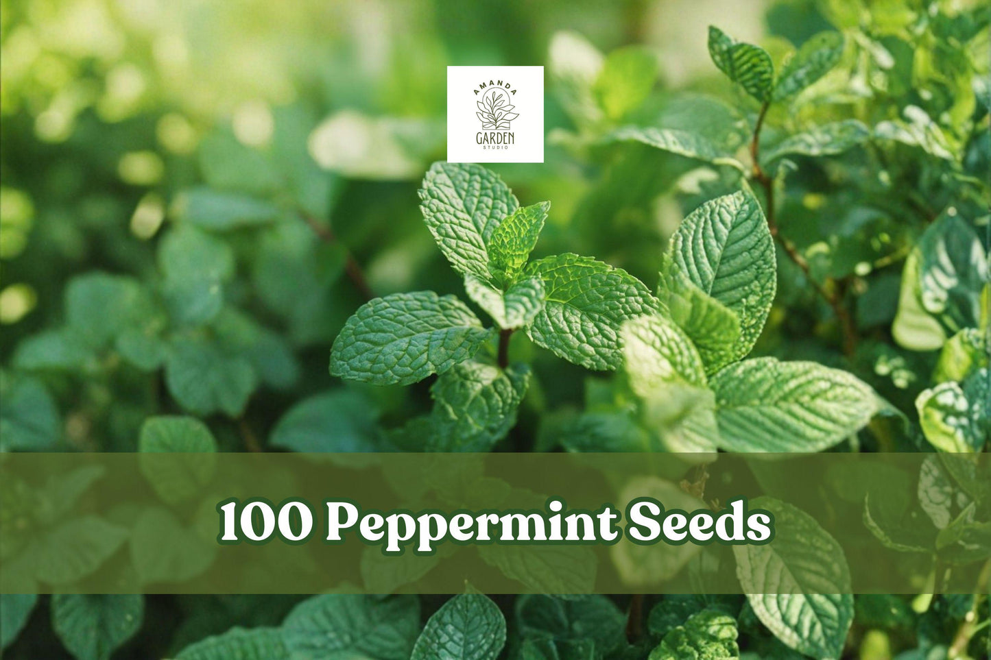 Peppermint Seeds, Aromatic Herb, Mentha × piperita, Culinary & Tea Use, Perennial Green Herb, Fast-Growing Plant