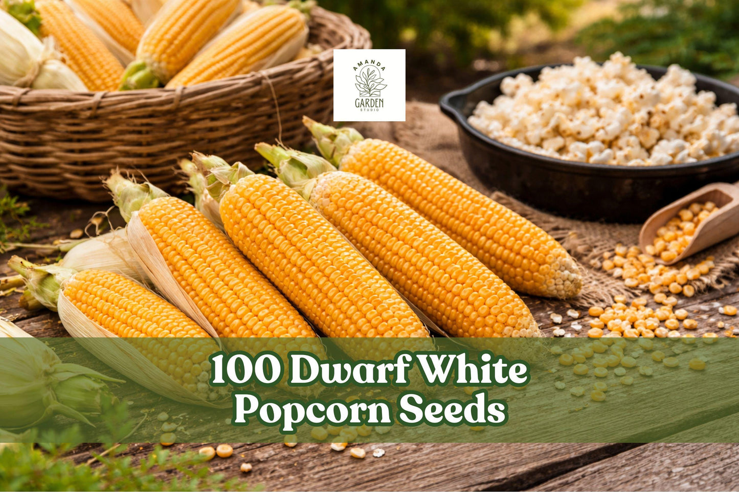 Dwarf White Popcorn Seeds – Compact Zea mays Variety for Homegrown Popcorn, White Kernels, Easy to Grow