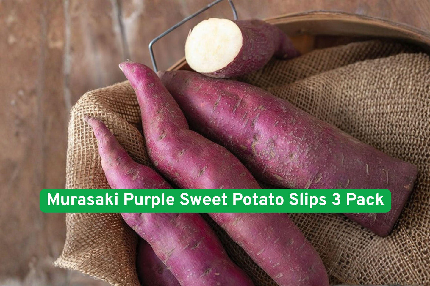 Murasaki Purple Sweet Potato Slips 3 Pack – Live Plant for Edible Garden, Organic, High-Yield, Purple Skin, White Flesh, Ipomoea batatas
