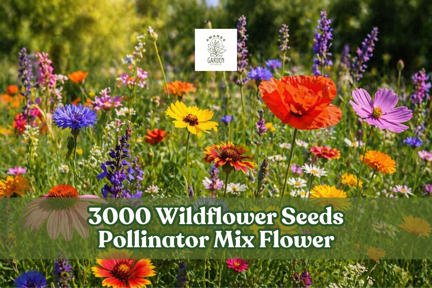 Wildflower Seeds Mix - 3000+ Seeds for Pollinator Garden, Colorful Annuals & Perennials, Outdoor Planting