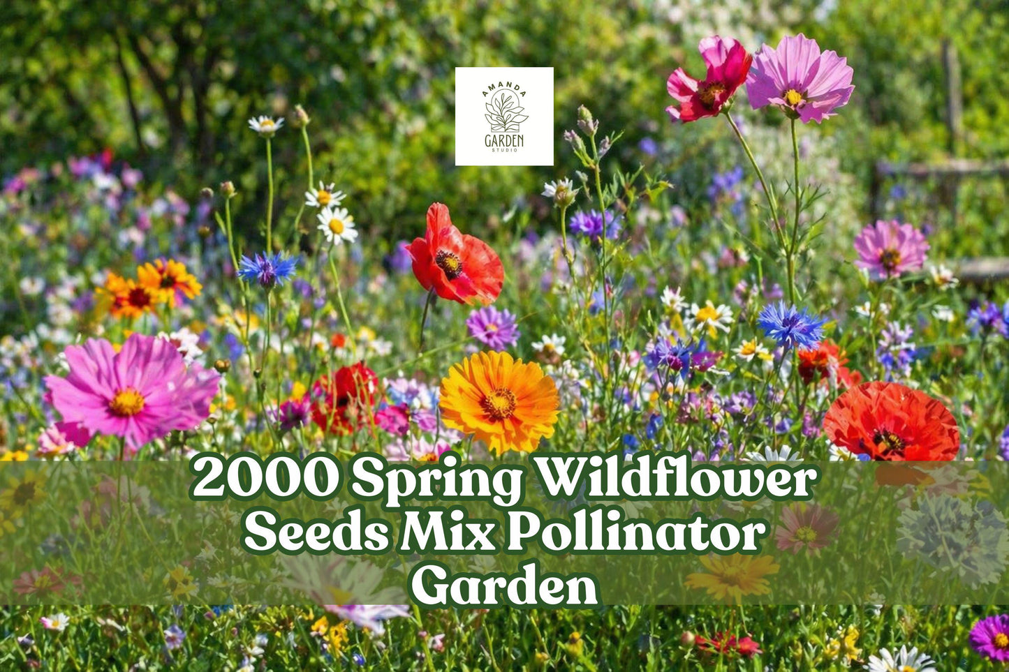 Wildflower Seeds Mix 2000+ Seeds for Pollinator Gardens, Outdoor Planting, Seasonal Color, Easy Scatter, Mixed Annuals & Perennials